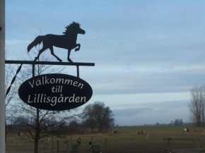 Lägenhet Lillisgården in Vallåkra